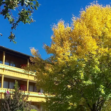 Apartment Chiemgau